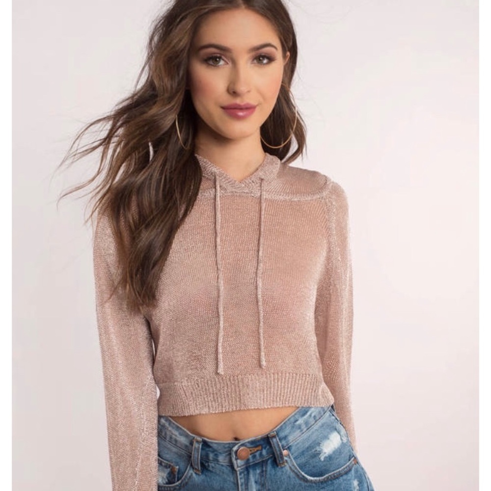 Tobi Rose Cropped Sweater